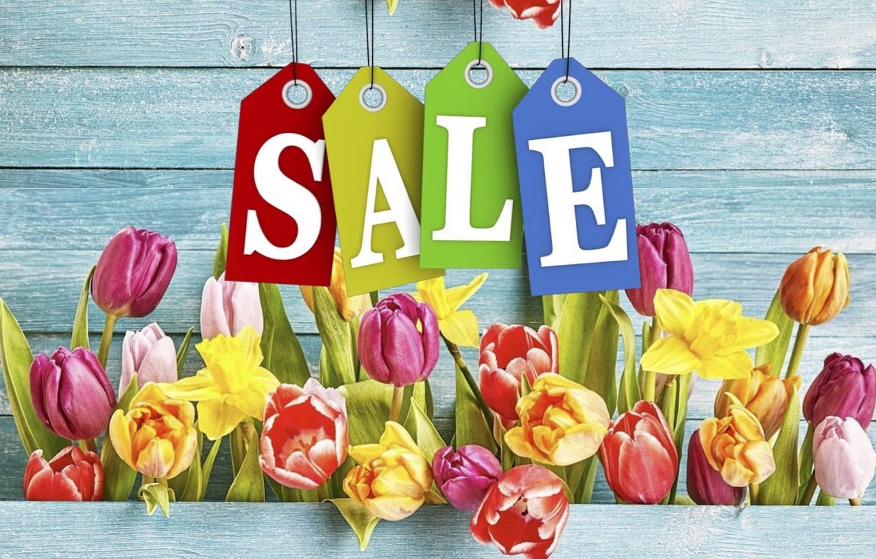SPRING SALE