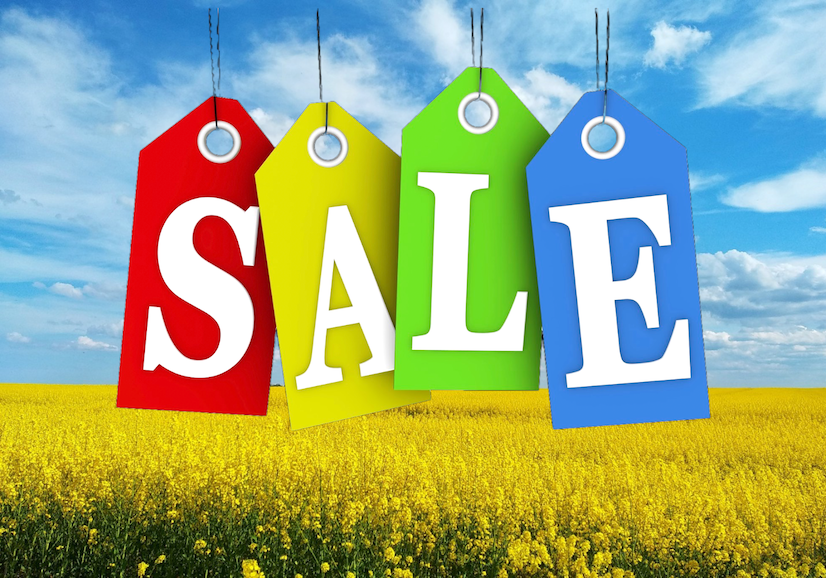 SUMMER SALE